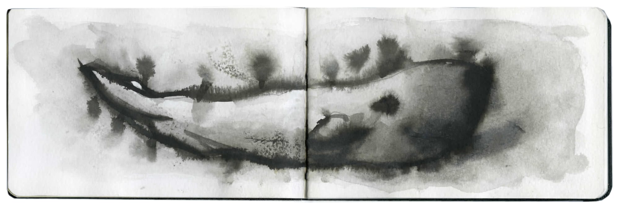 Yo-Yo Gonthier, La Baleine Nuage #2, 2012