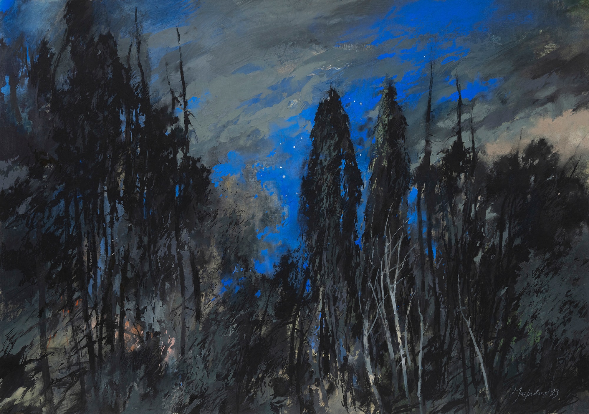 John Macfarlane, The Night Garden, 2023