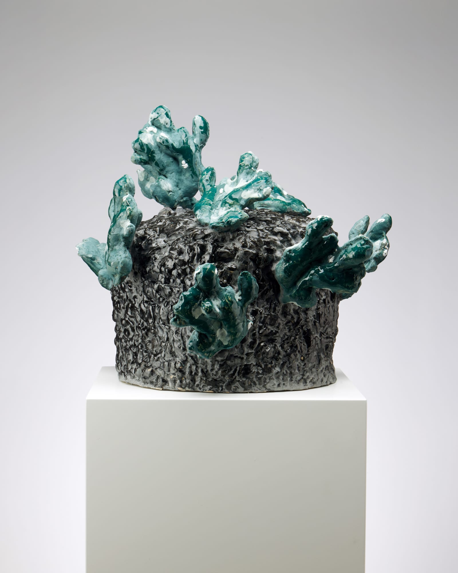 Noa Chernichovsky, Ginger Bollard, 2023