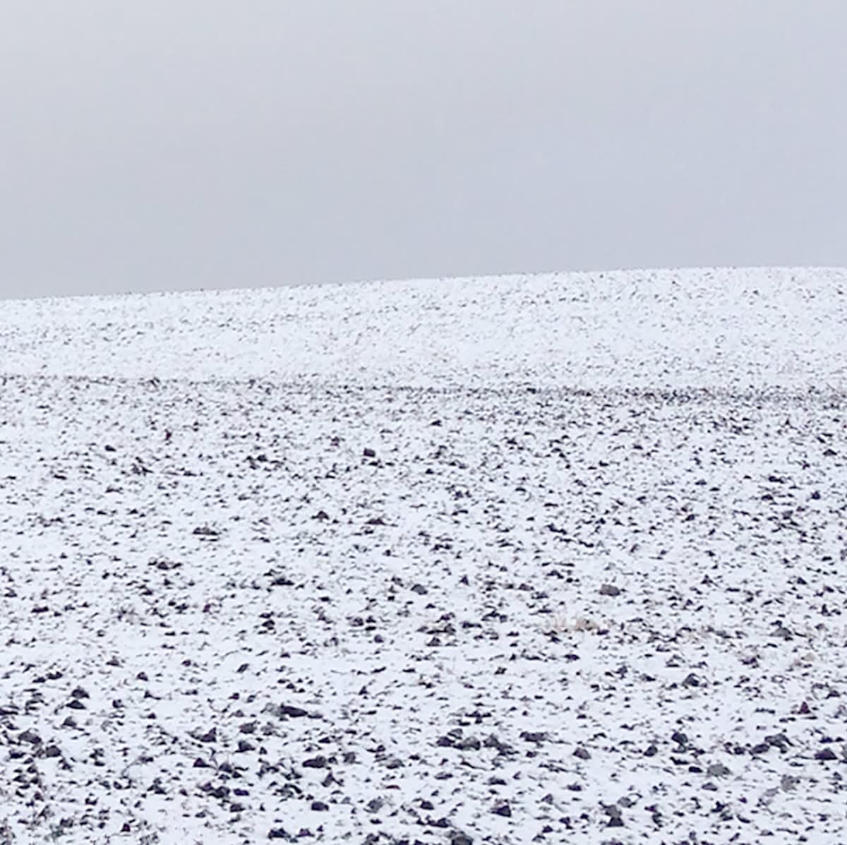 Grace Clark, Sweet Fields X, 2020