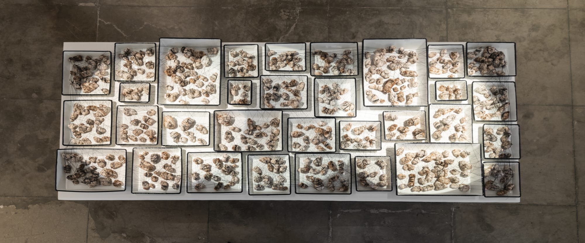 Yardena Kurulkar, A premature burial, 2018