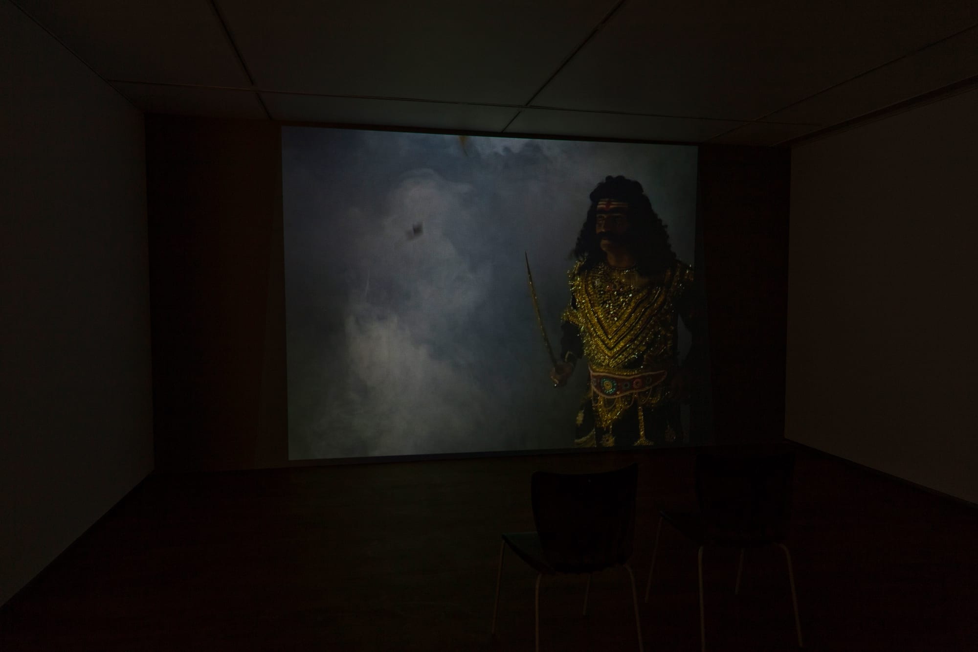 Pushpamala N, Avega the Passion, display view, 2012