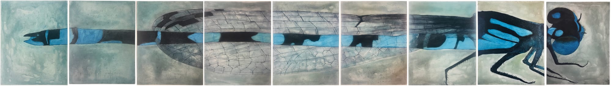 Tanujaa Rane, The cerulean transpose, 2019