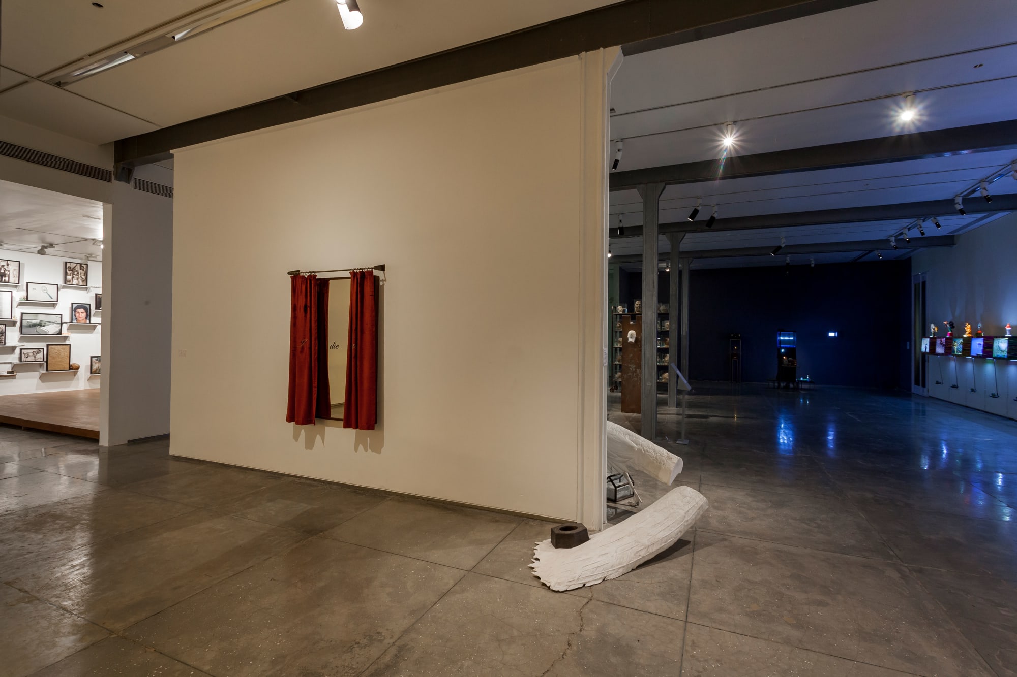 Aesthetic Bind: Cabinet Closet Wunderkammer, display view, 2014