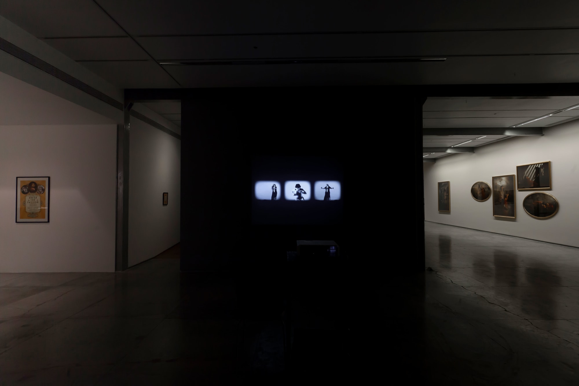 Pushpamala N, Avega the Passion, display view, 2012