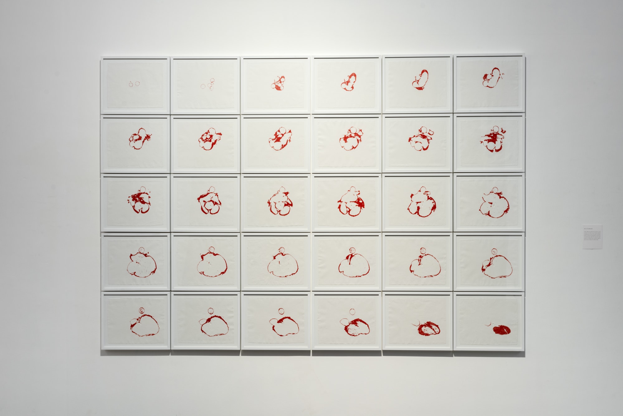 Yardena Kurulkar, Fall of the buckler, 2018