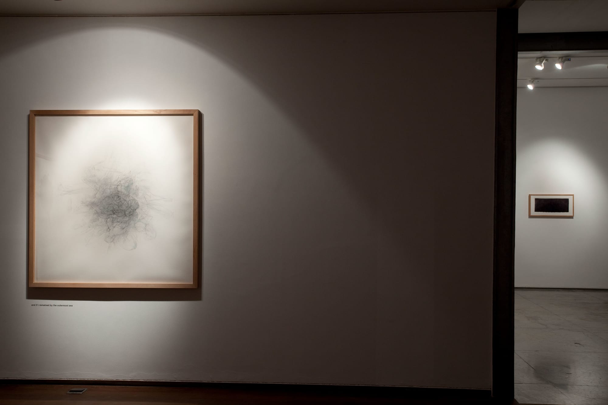 Aditi Singh, Let it be a heaven of blackbed roses, display view, 2010