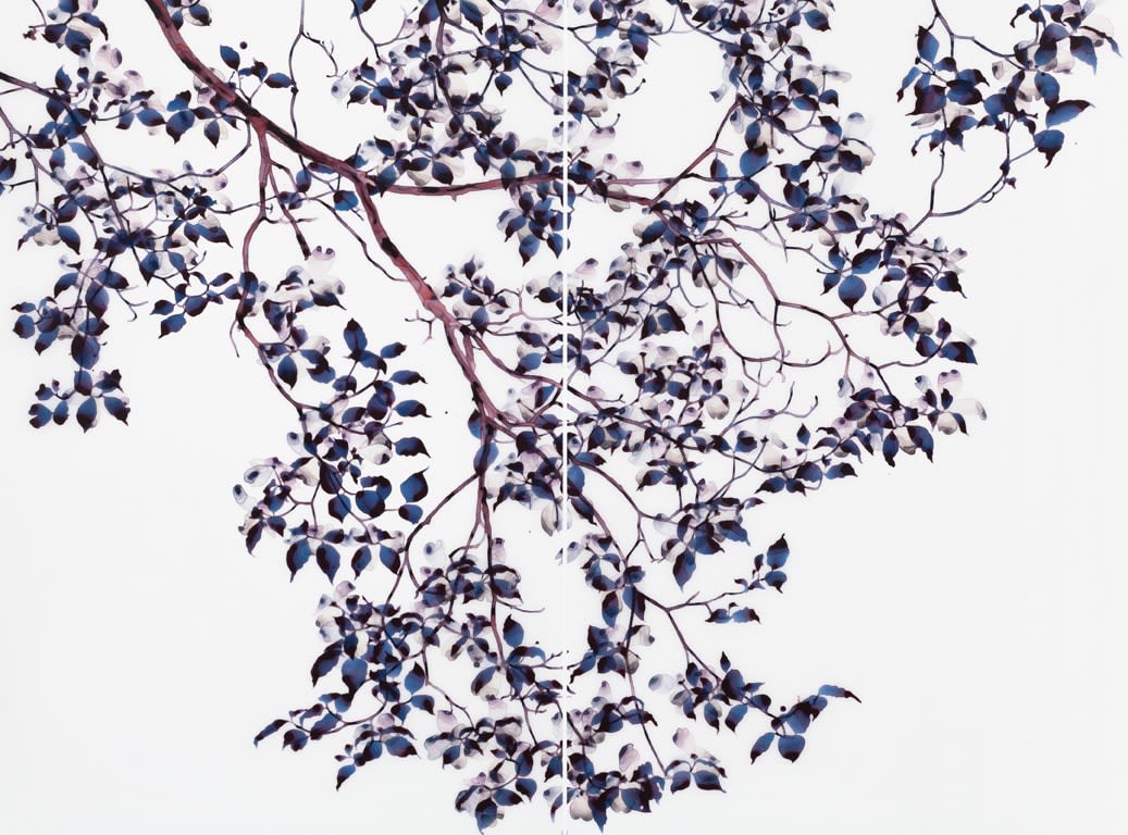 Jackie Battenfield, Under A Cloud