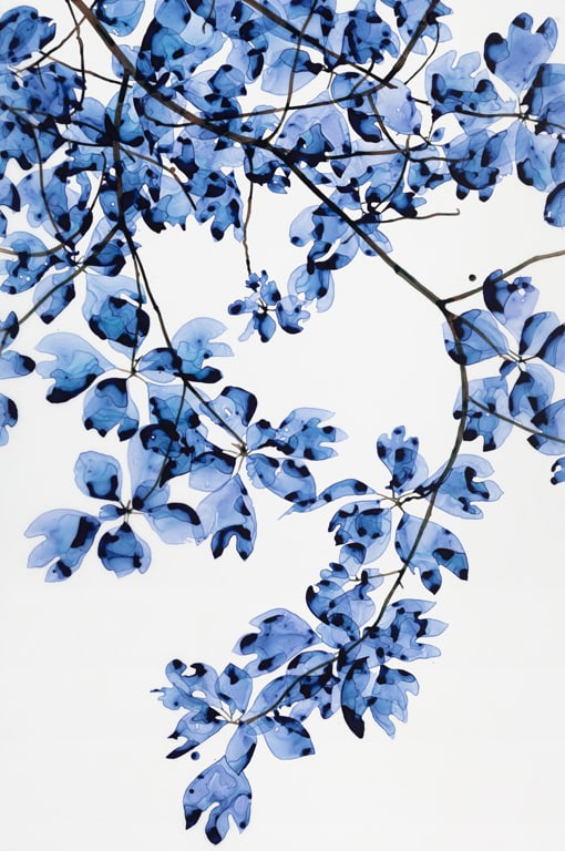 Jackie Battenfield, Windy Blue