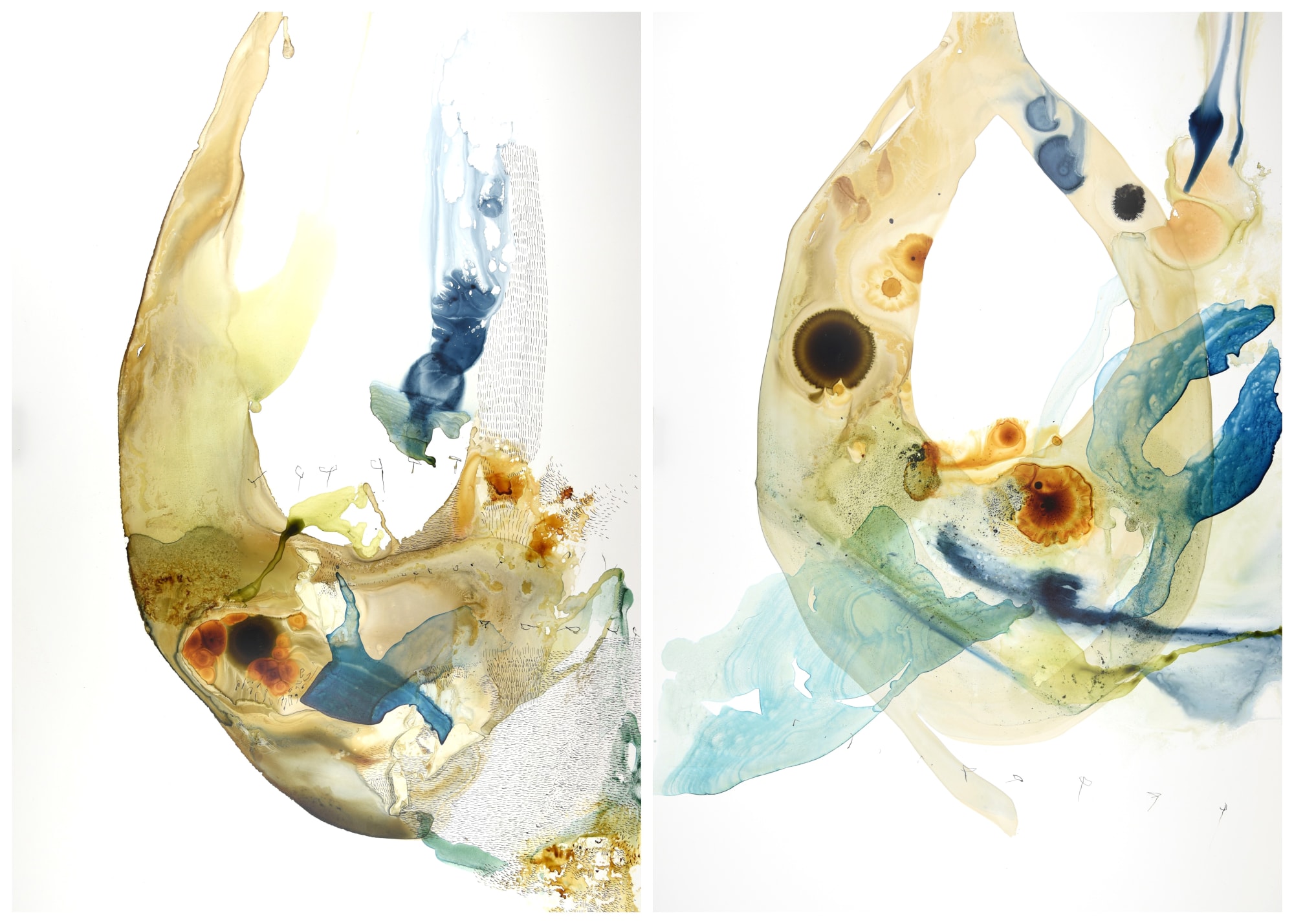 Ana Zanic, Origin Aqueous (Diptych), 2024