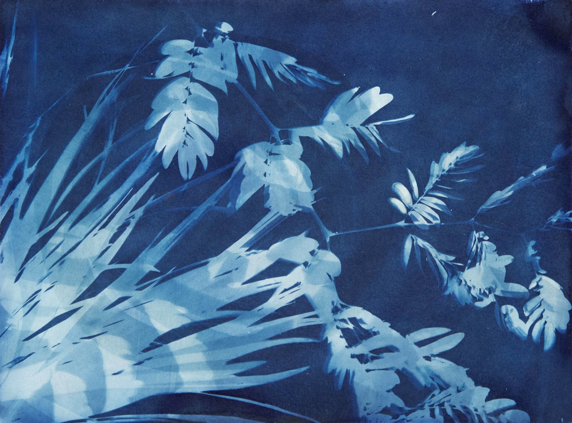 Allison Svoboda, Cyano 25/82-3