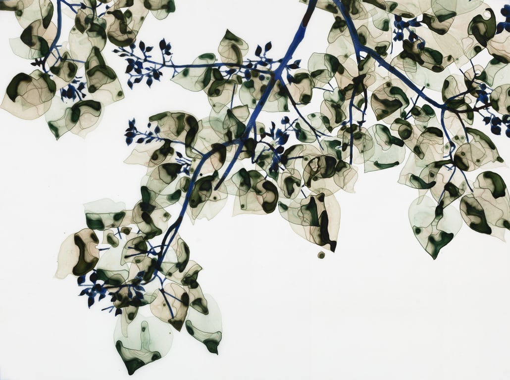 Jackie Battenfield, Moon Glow