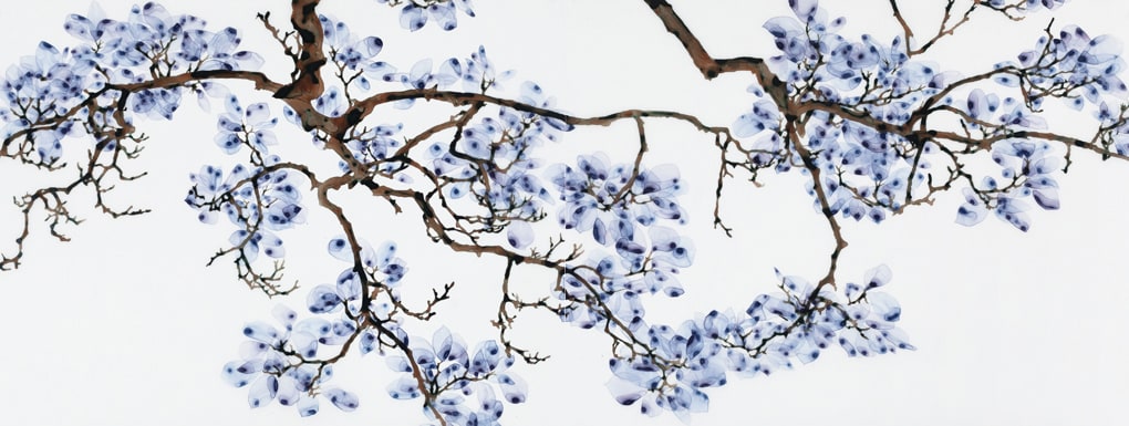 Jackie Battenfield, Water Light Diptych