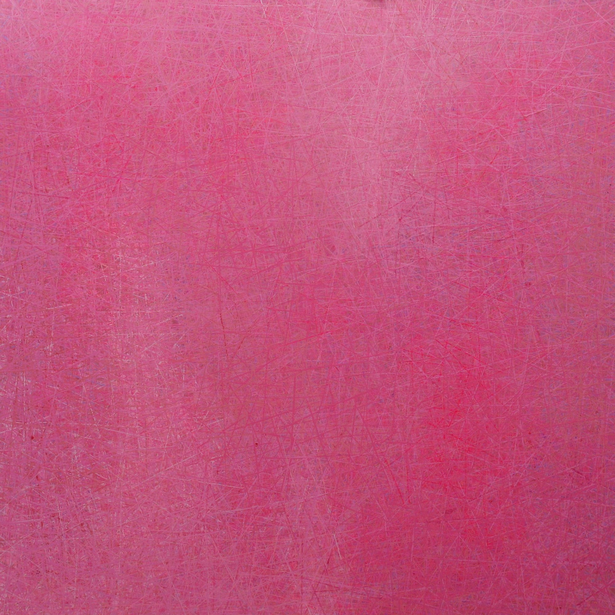 Cynthia Bjorn, FIrst Bloom, 2022