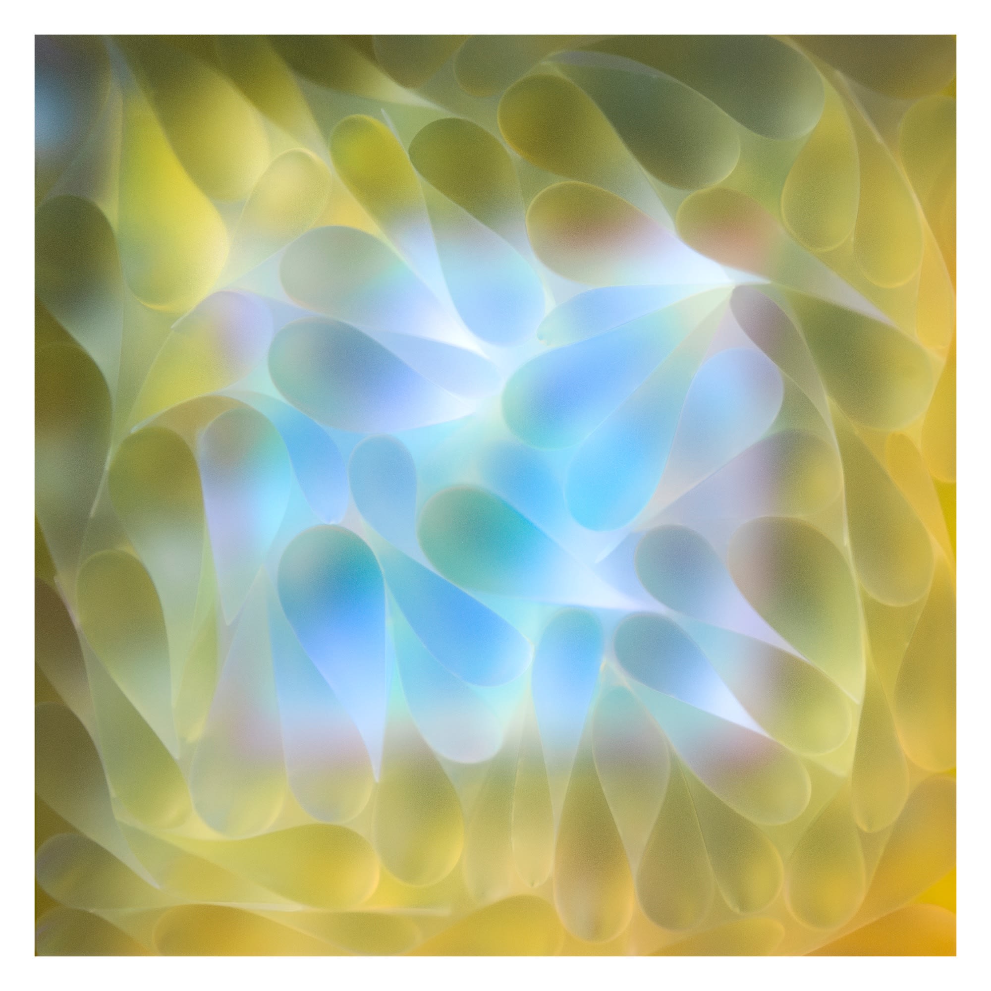 Carrie Seid, Aureate, 2023