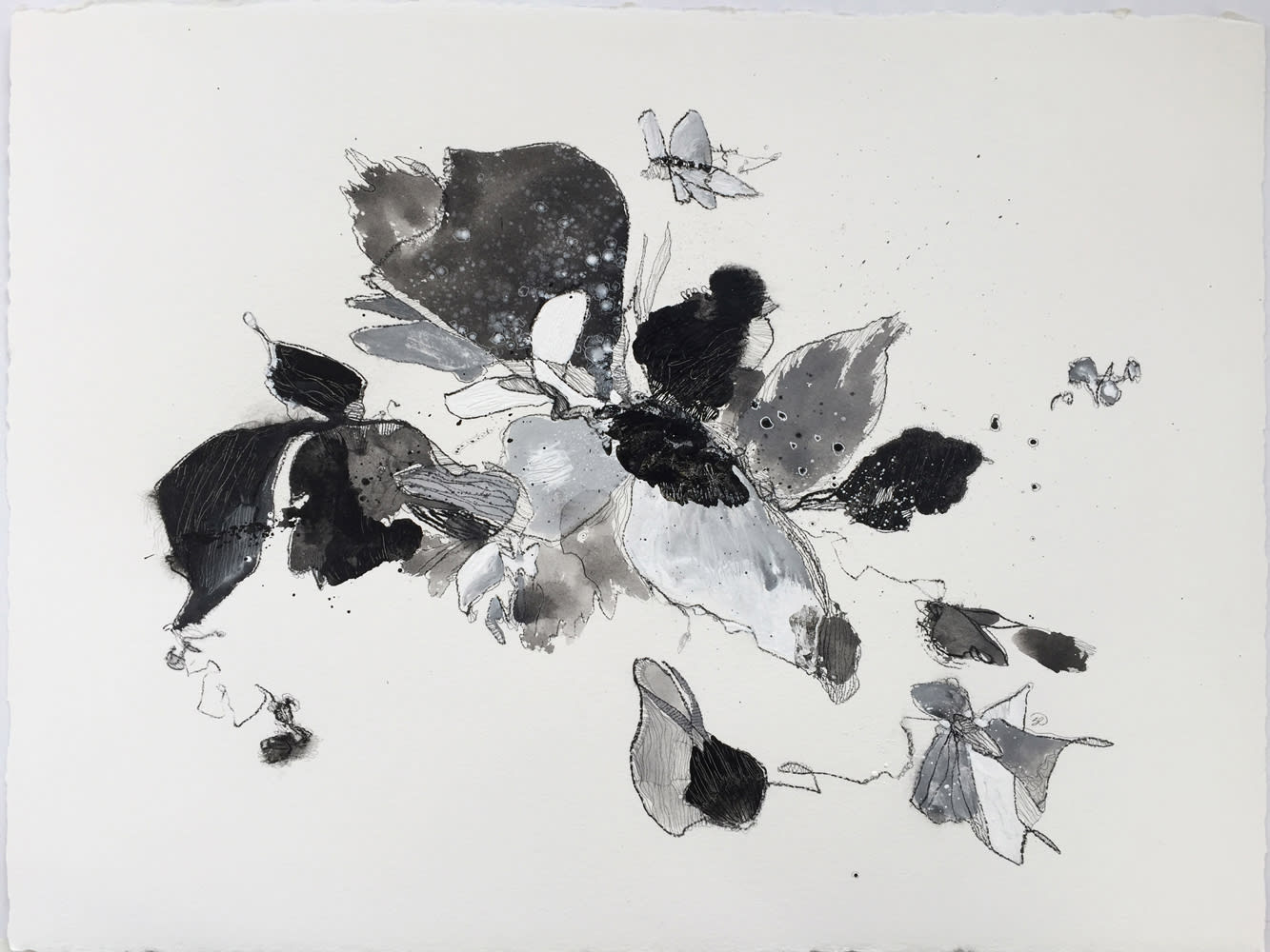 Shar Coulson, Fusion105