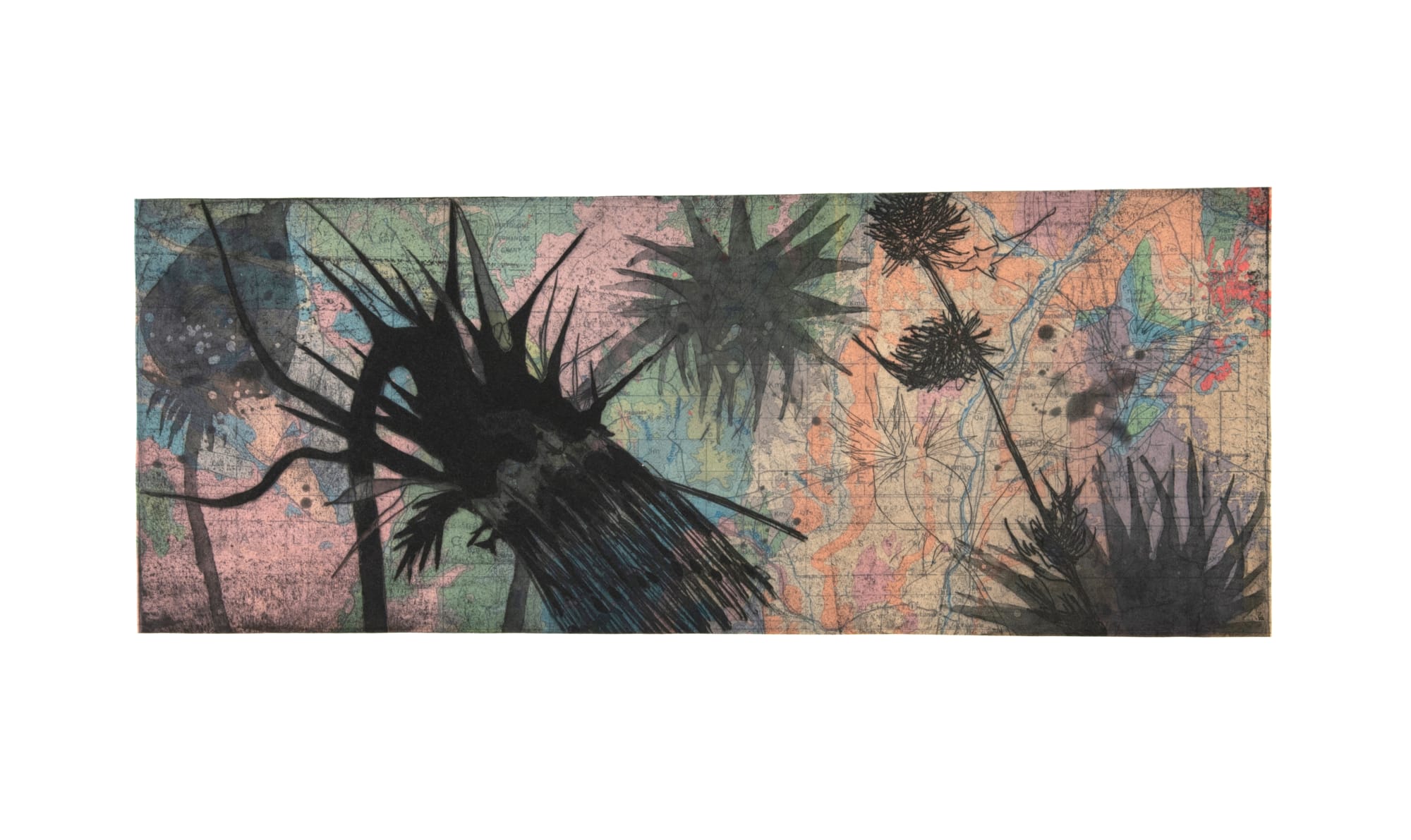 Susan Davidoff, New Mexico Geology / Sacramento Mountain Thistle, 2018