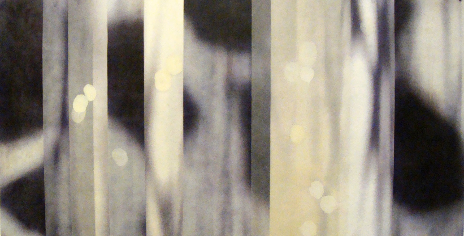 Jane Guthridge, The Space Between