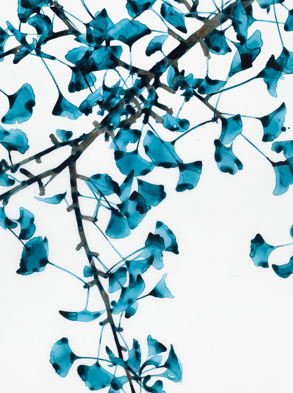 Jackie Battenfield, Salt Laden Air