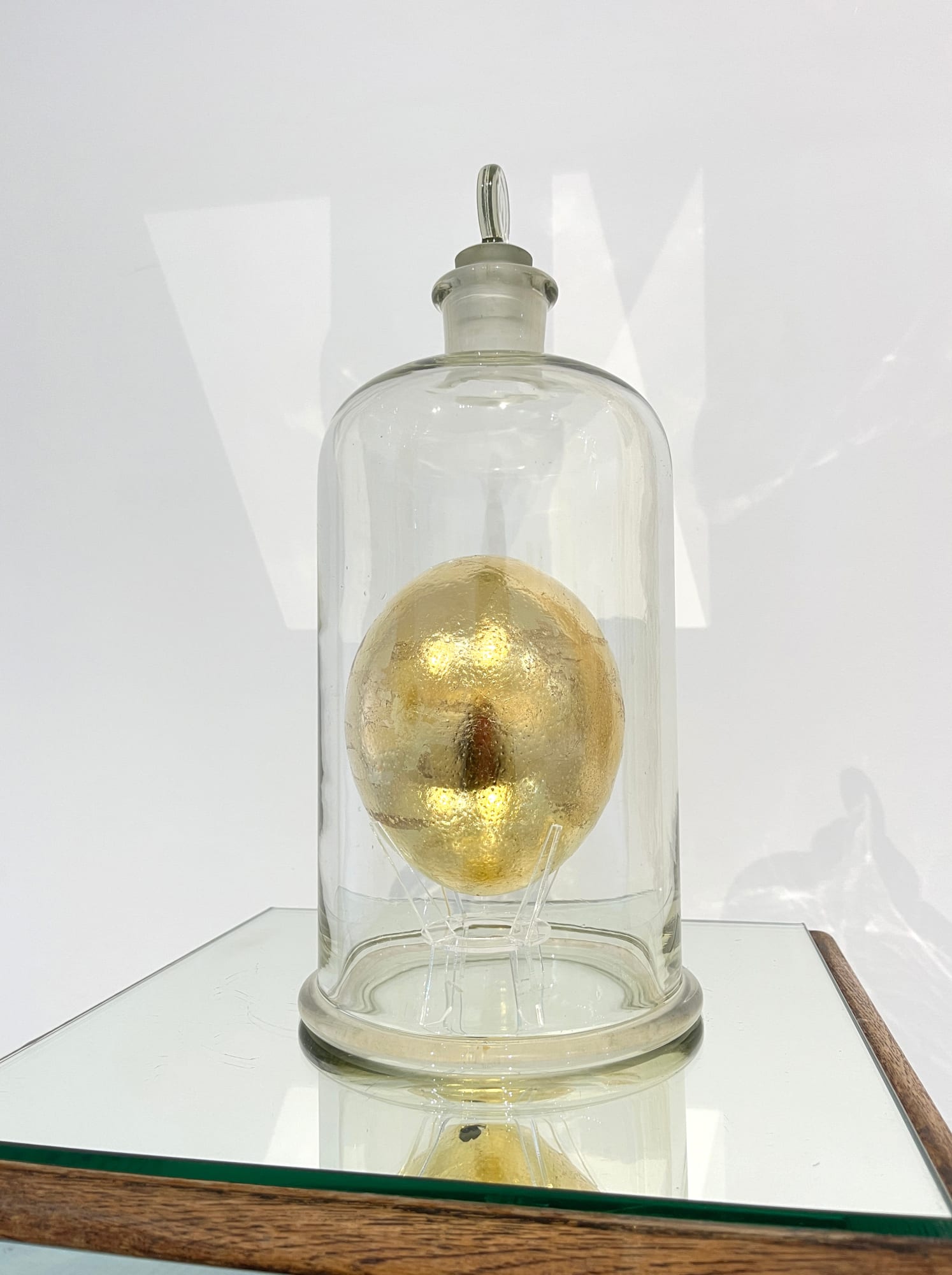 Toni Davey, HOPE, 2023