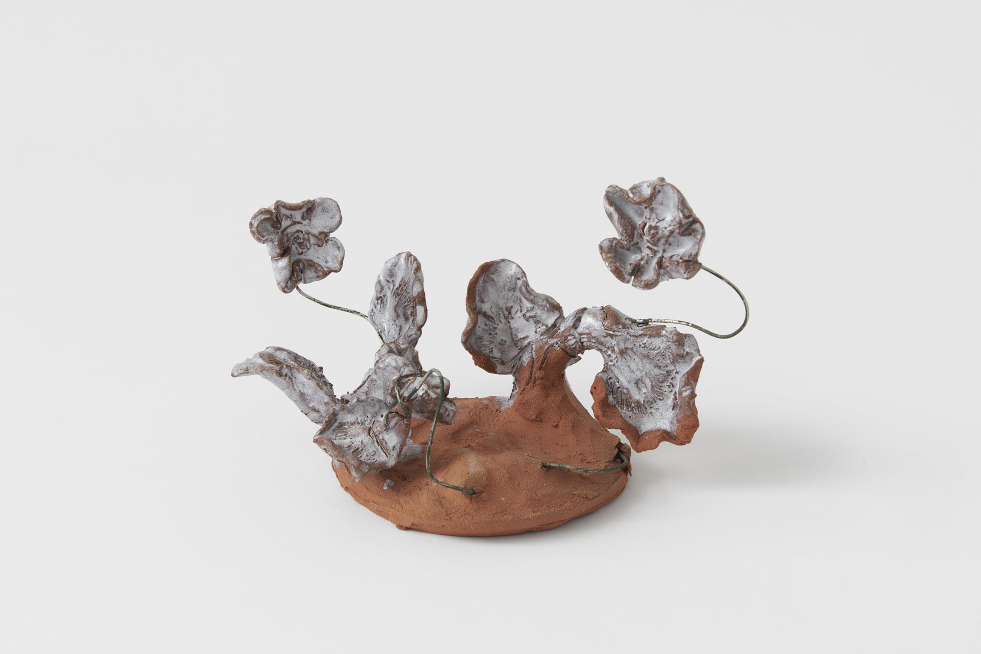 Joe Sweeney, Geraniums , 2021