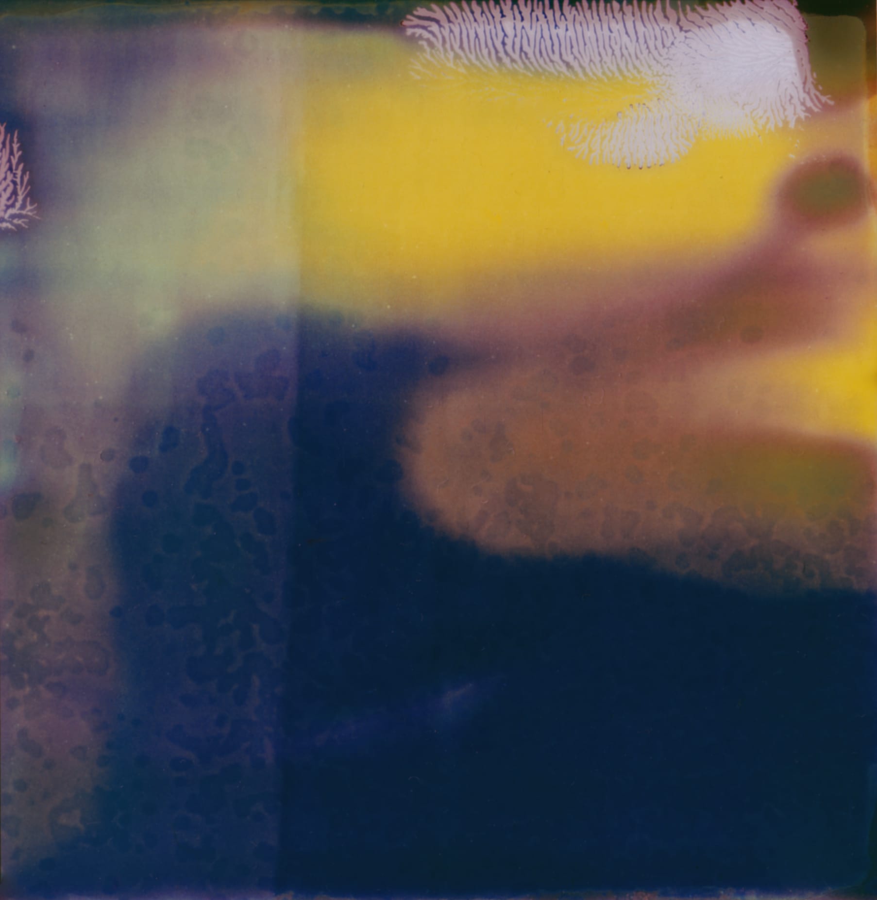 Wendy bevan, Yellow Sunday 2R