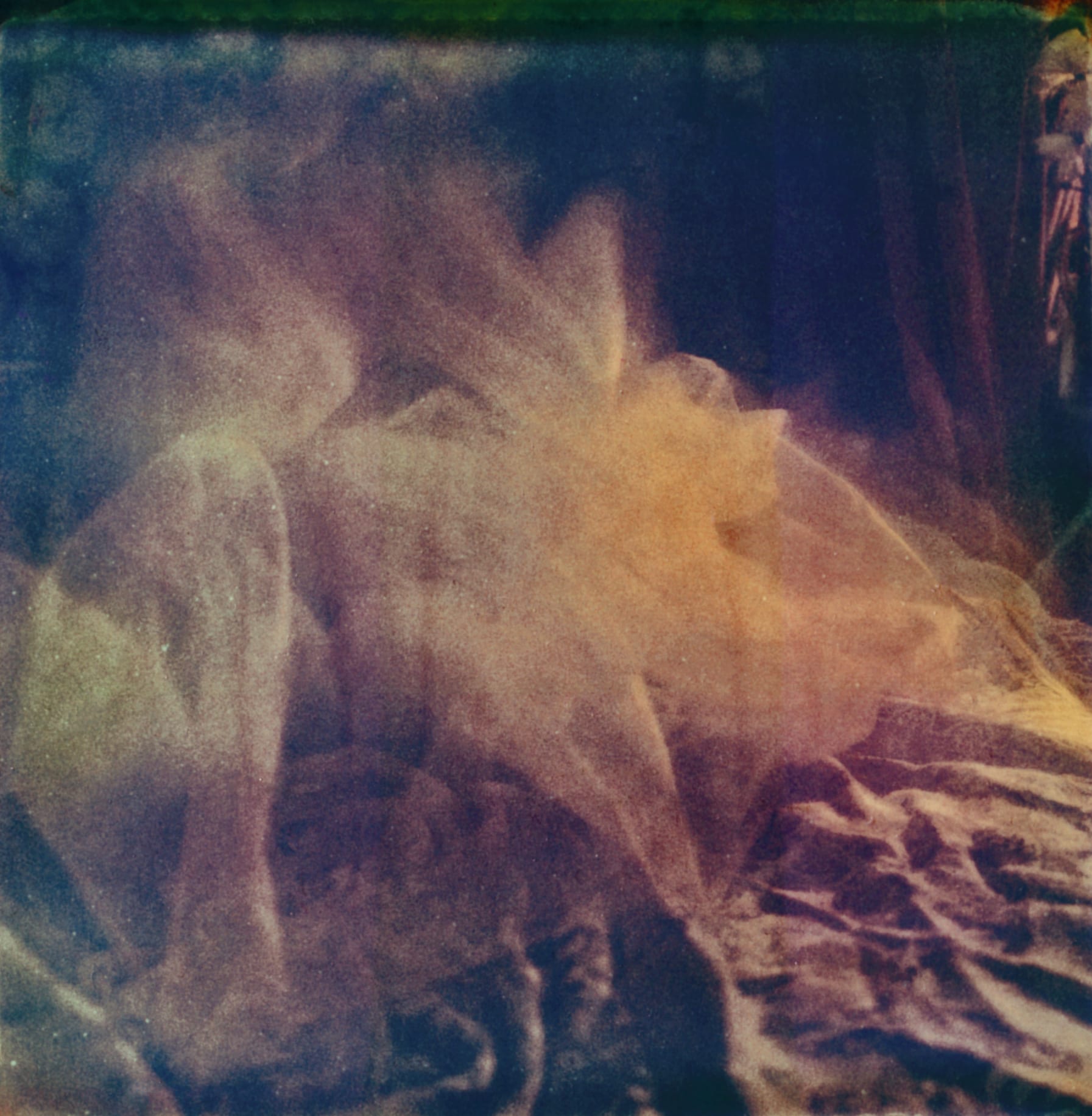 Wendy bevan, Flower 1R