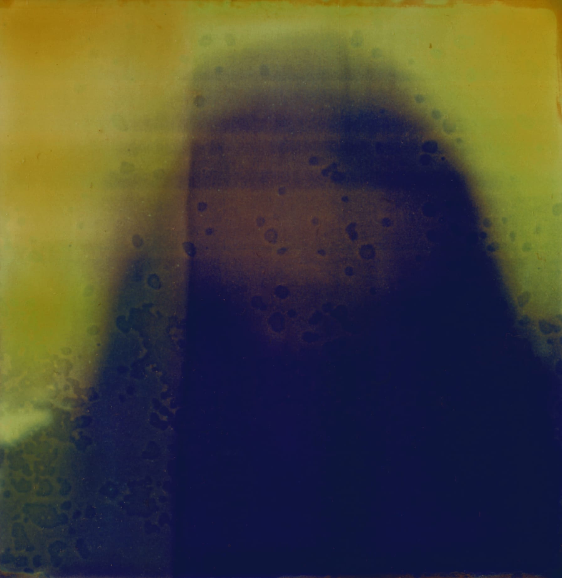 Wendy Bevan, Yellow Sunday