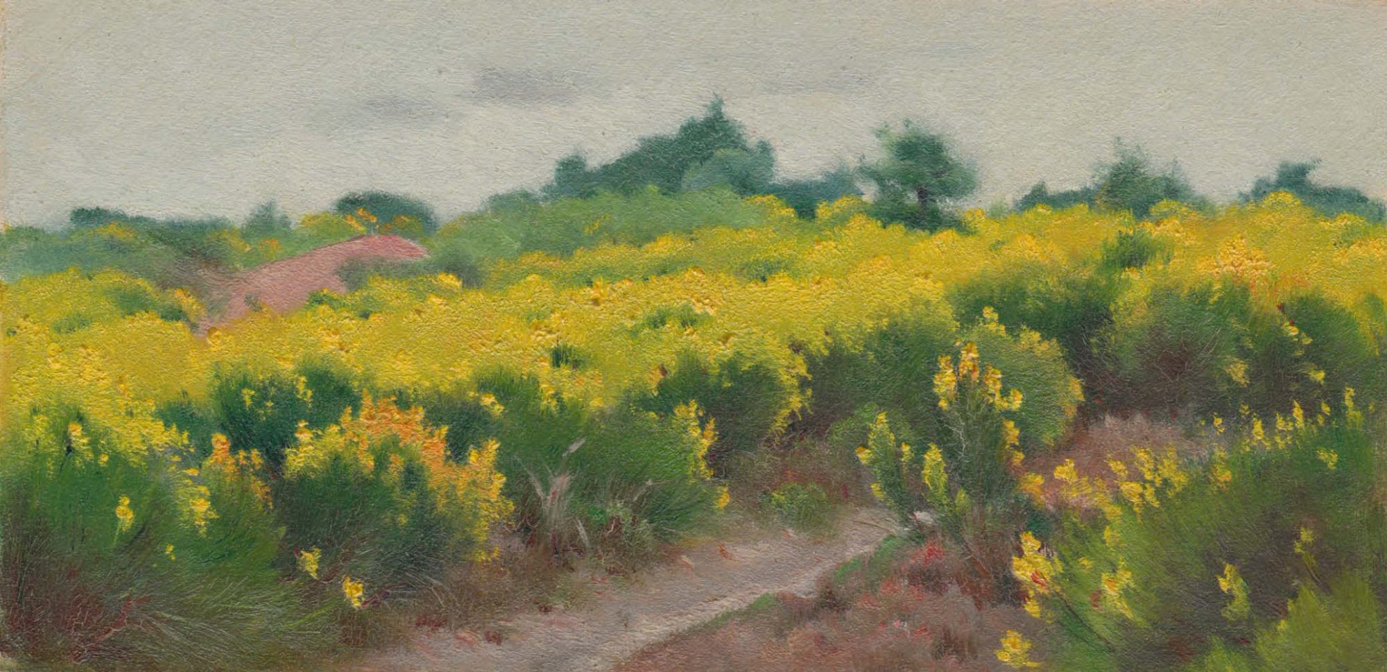 EDOUARD ATHÉNOSY, Trail in the brooms, 1910