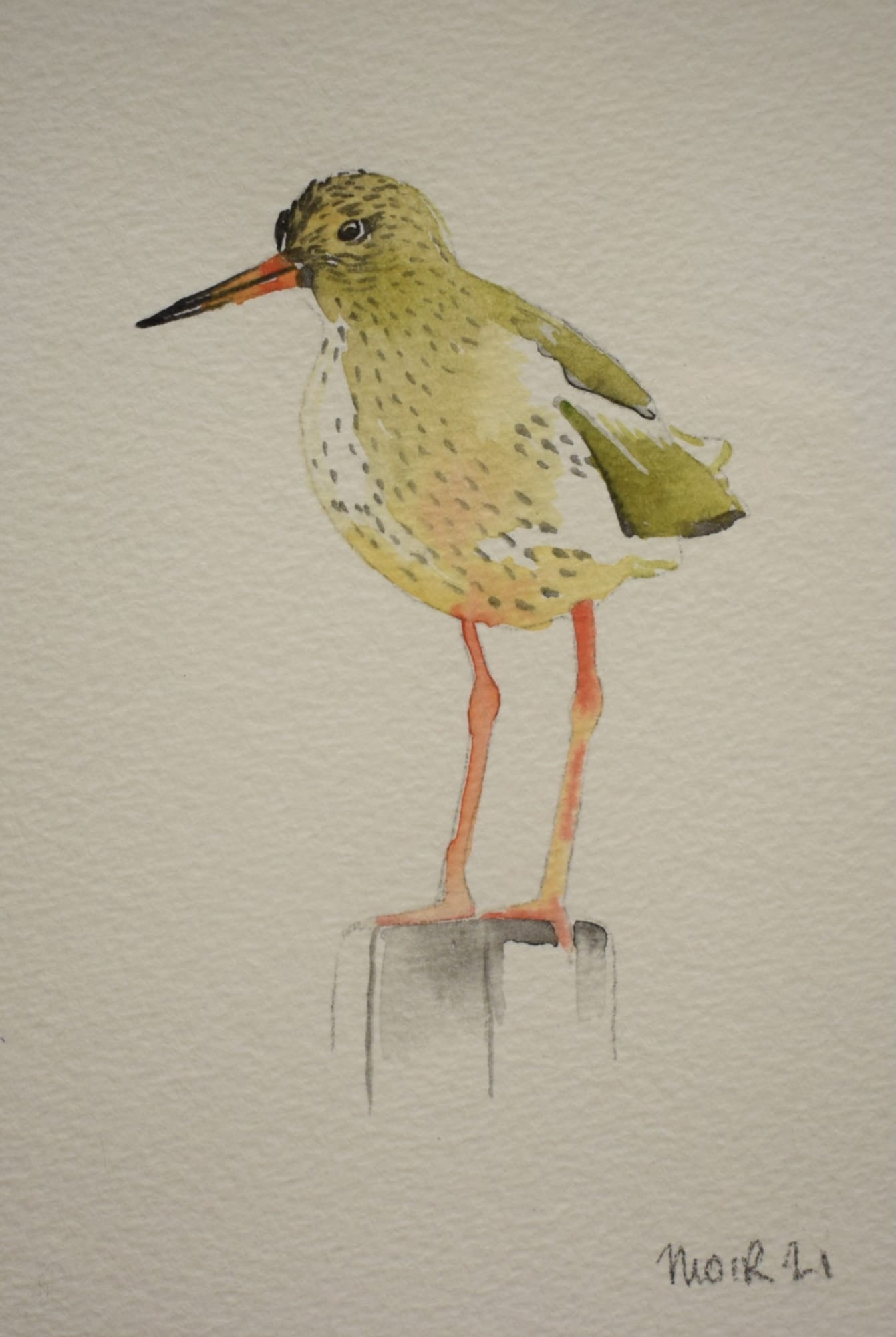 Jim Moir, Redshank