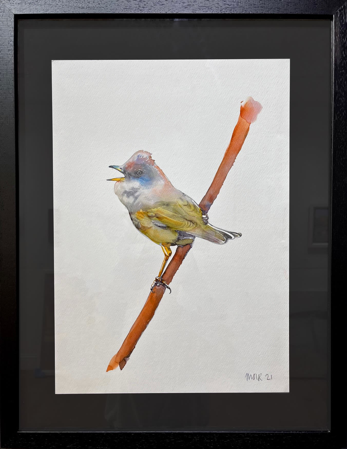 Jim Moir, Whitethroat II