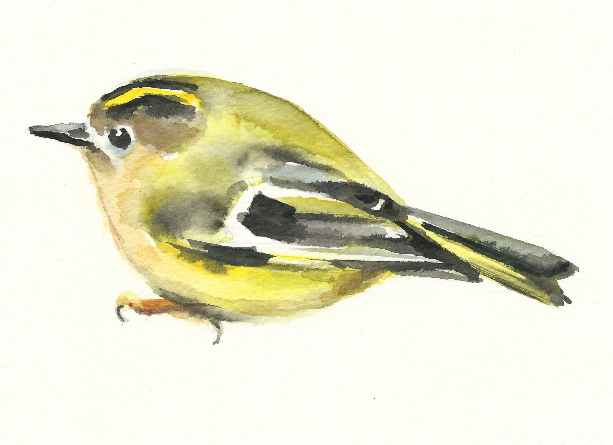 Liam Spencer, Goldcrest 2