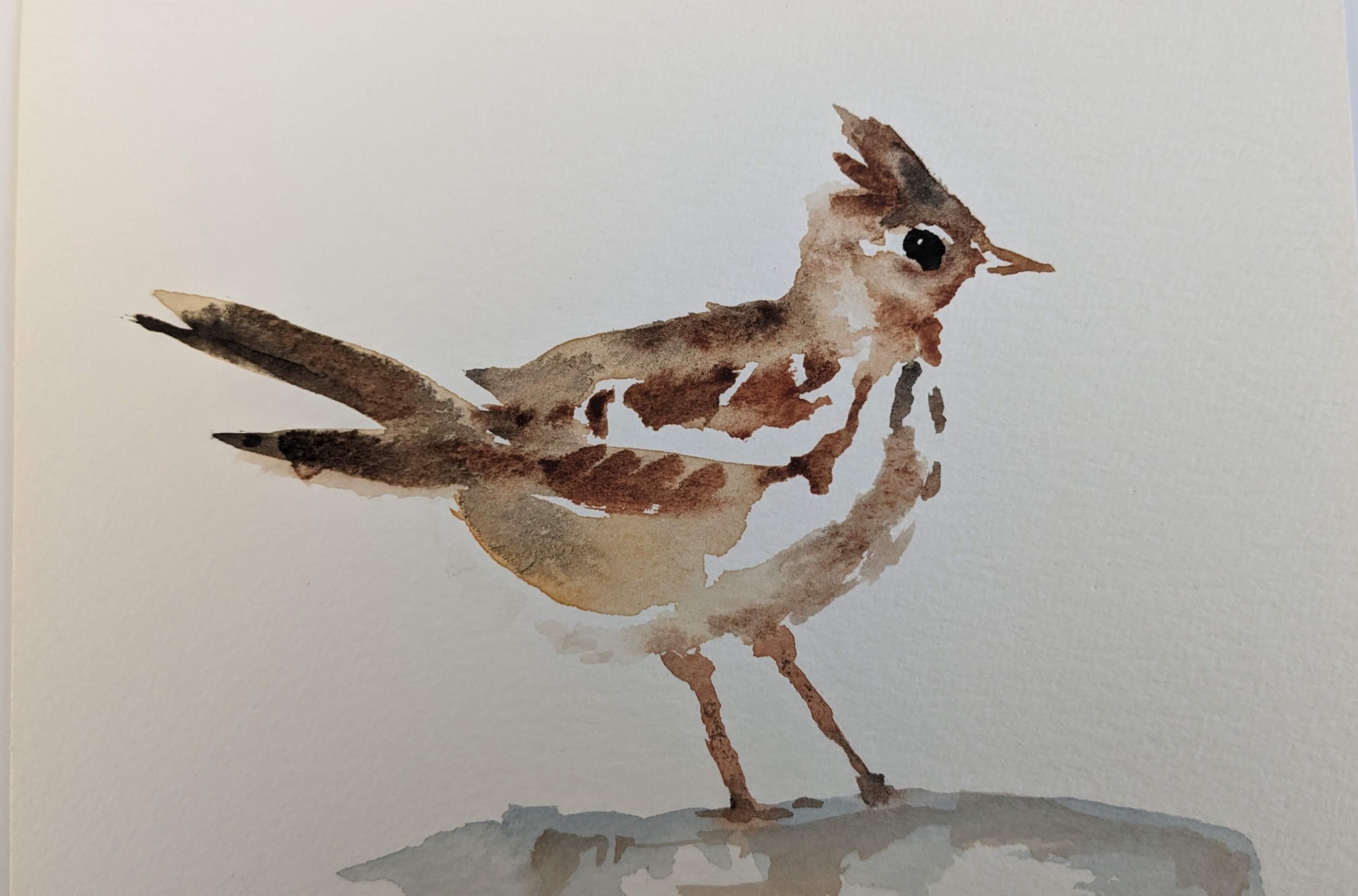 Liam Spencer, Skylark, 2021