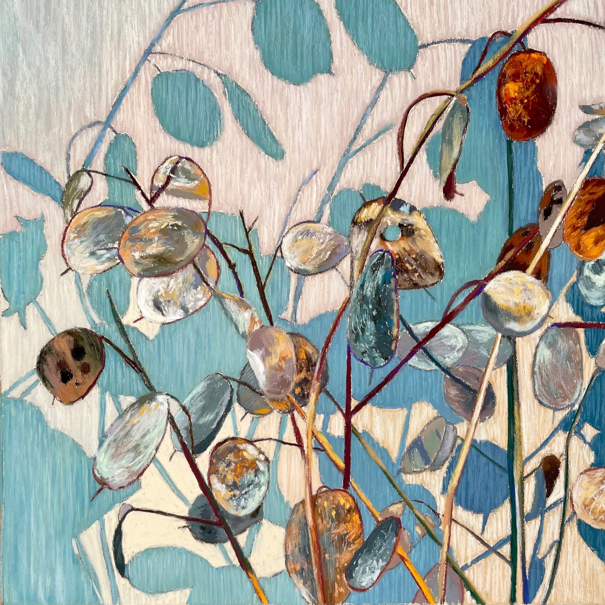 Fiona Carvell, Shimmer