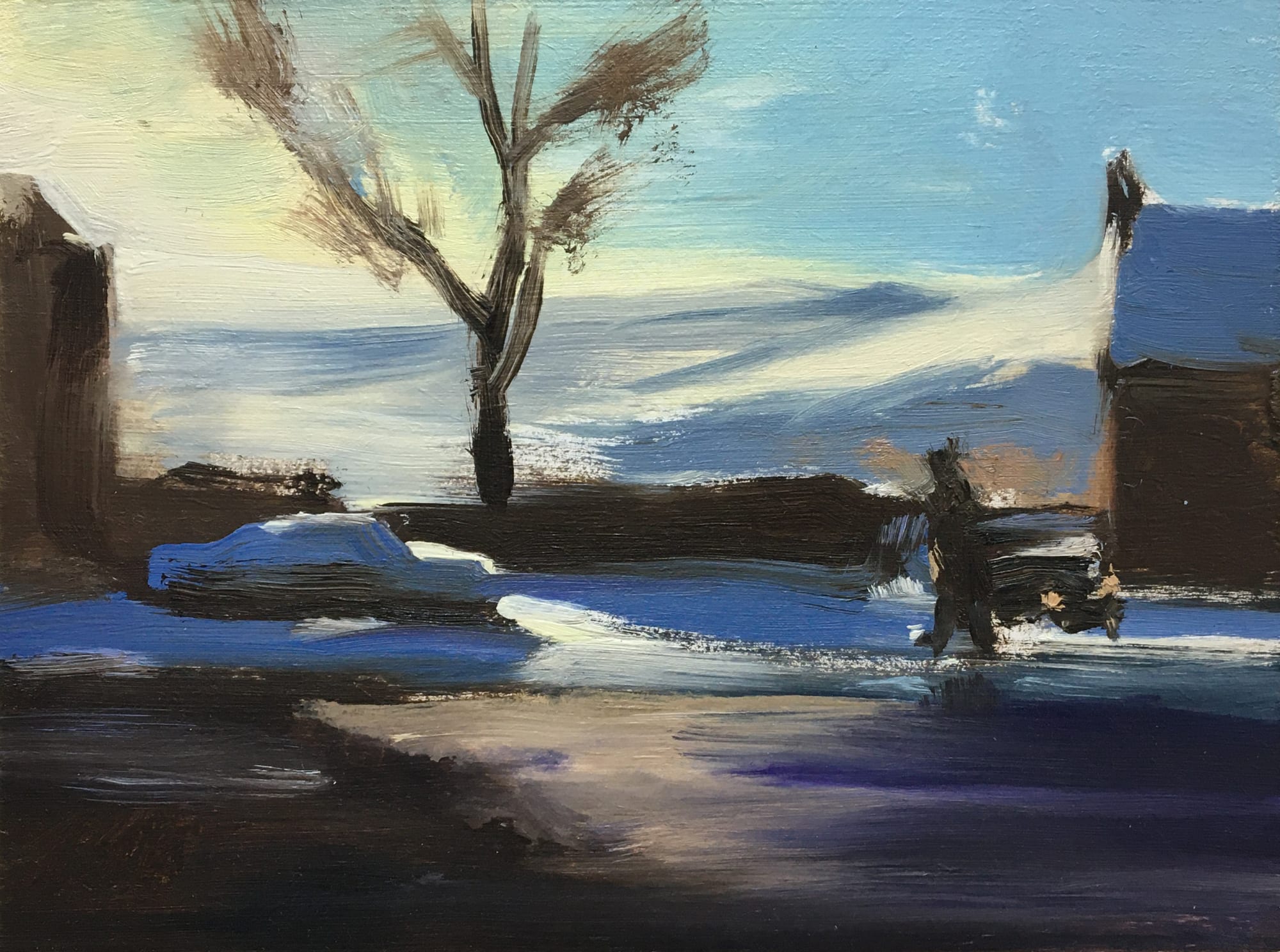 Liam Spencer, Winter Dog Walk, 2019