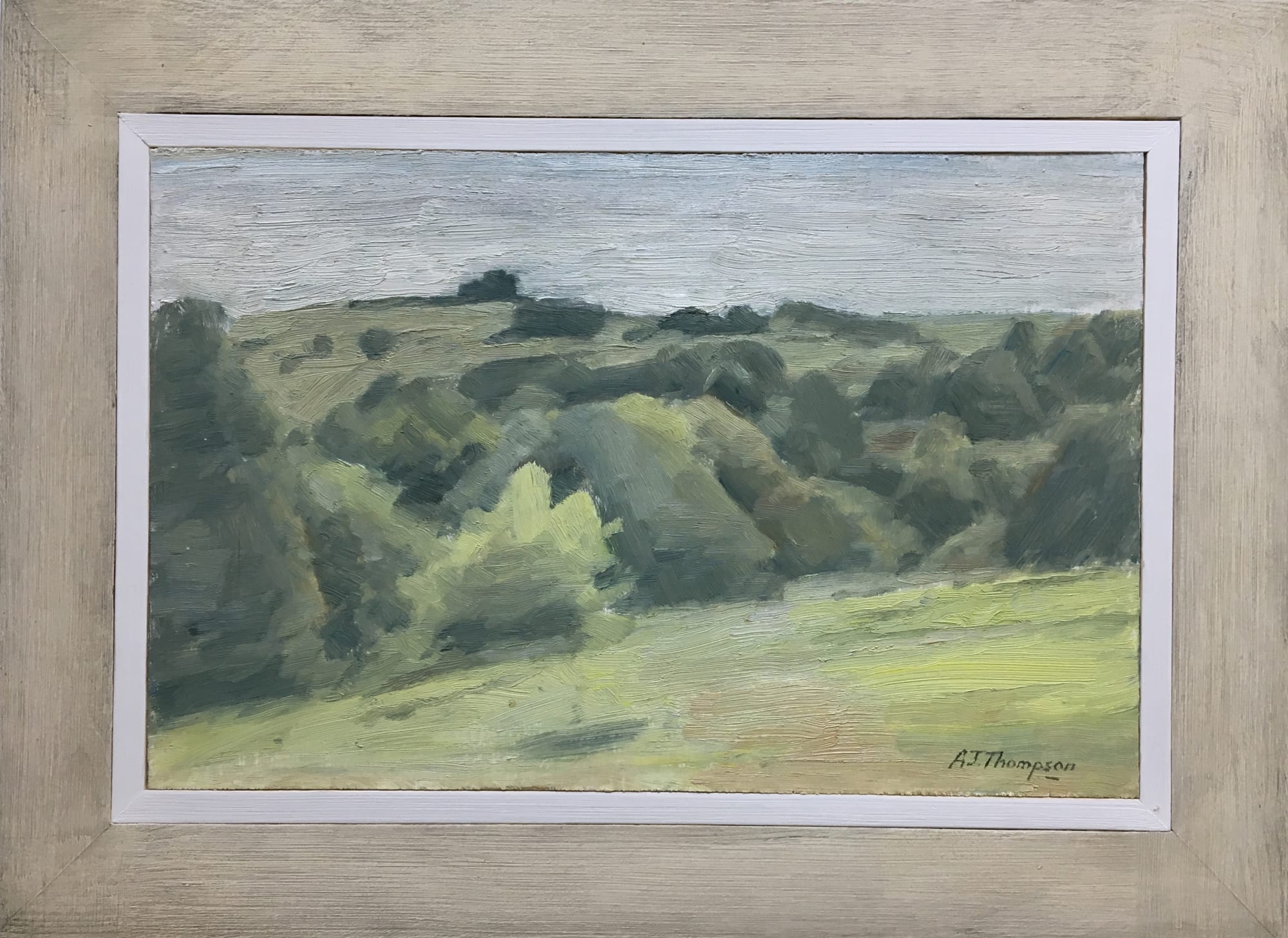 Alan James Thompson, Landscape with Bushes