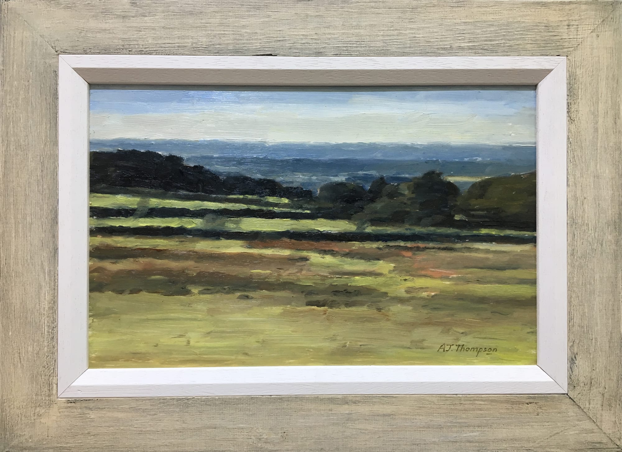 Alan James Thompson, Cheshire Plain, 2018