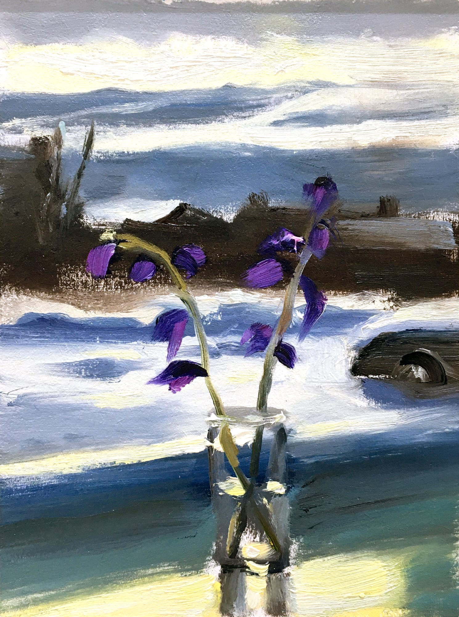 Liam Spencer, Gladioli & Snow, 2019