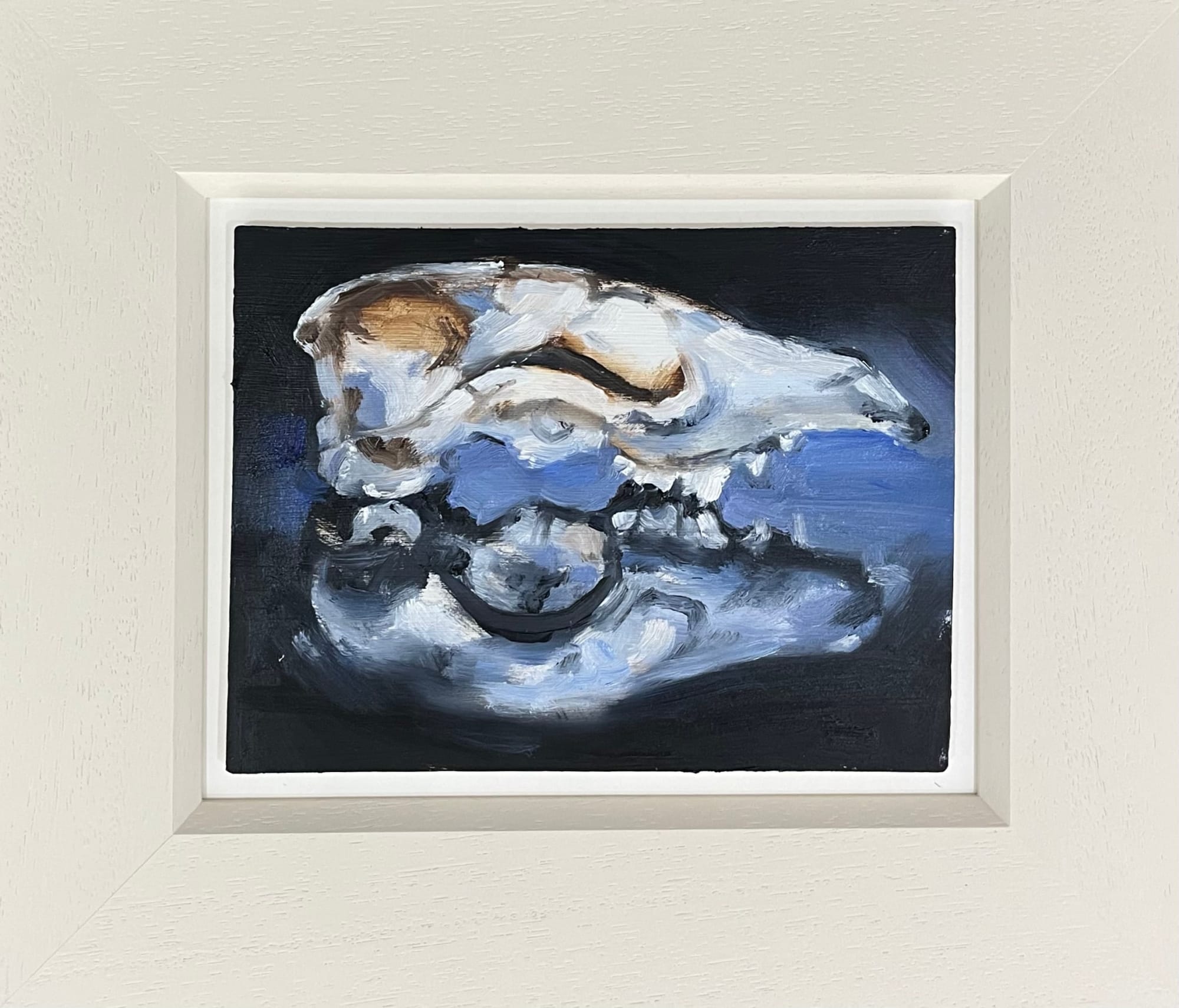 Liam Spencer, Nature Morte II (Fox Skull)