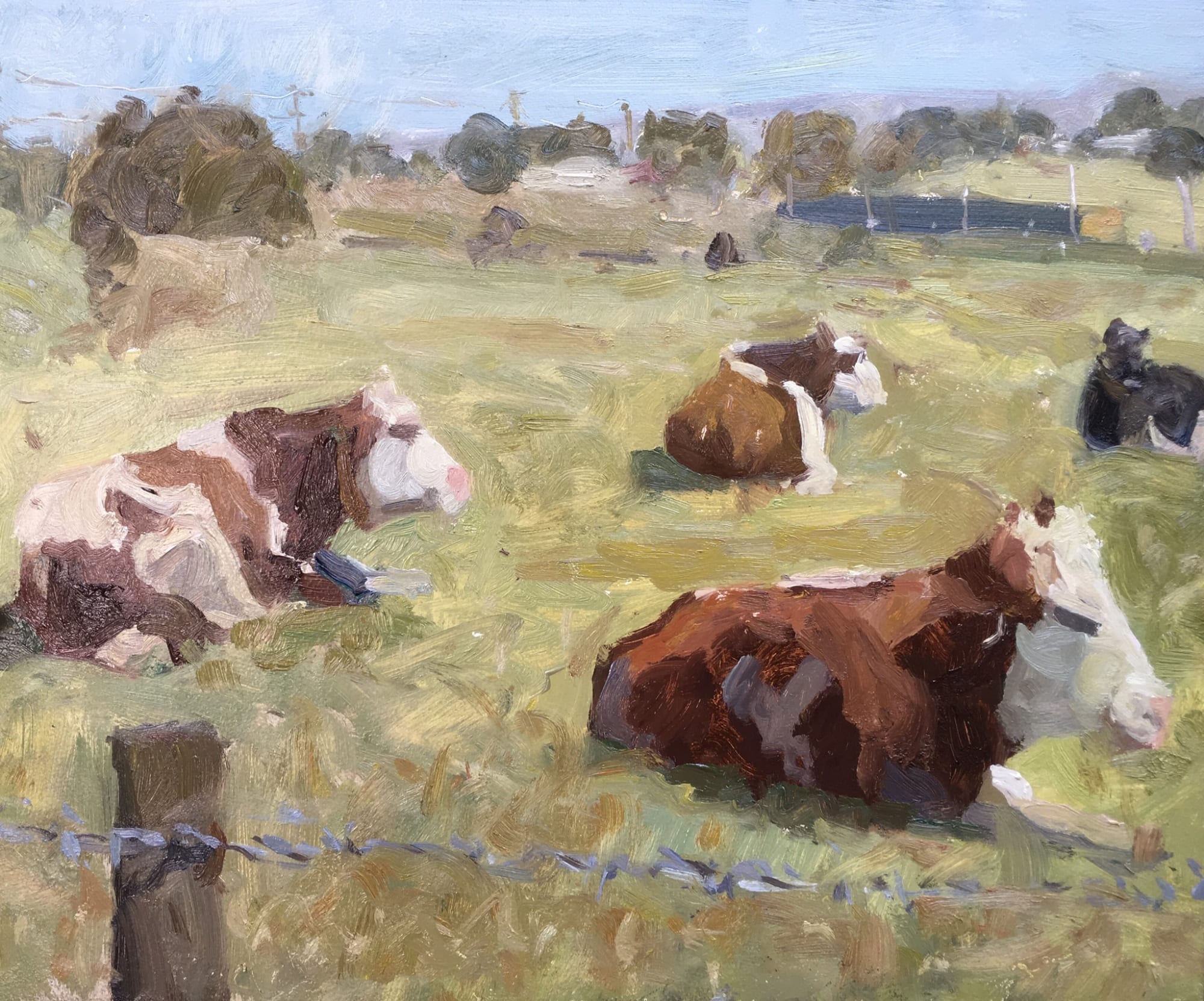 Adam Ralston MAFA, Resting Cows, Kirkham, 2018