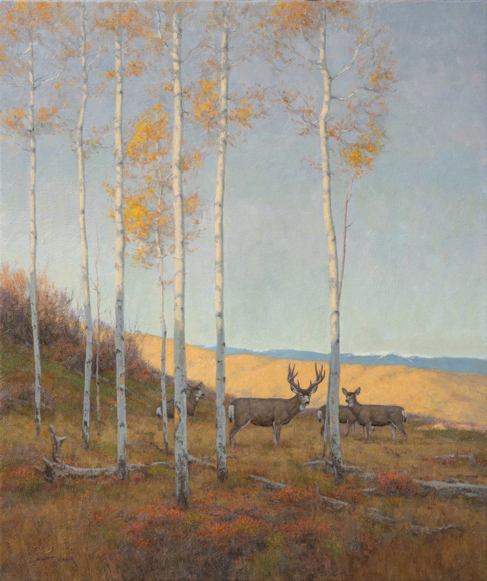 Scott Yeager, Deer Haven