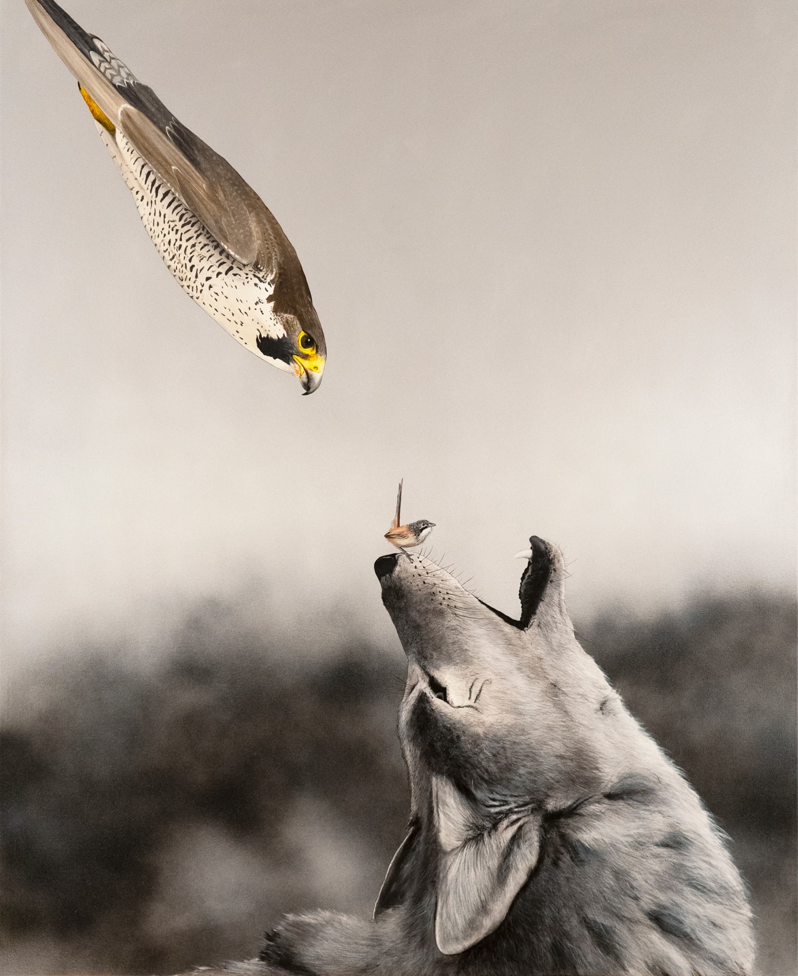 Heimir Björgúlfsson, This Will Solve Everything, 2024