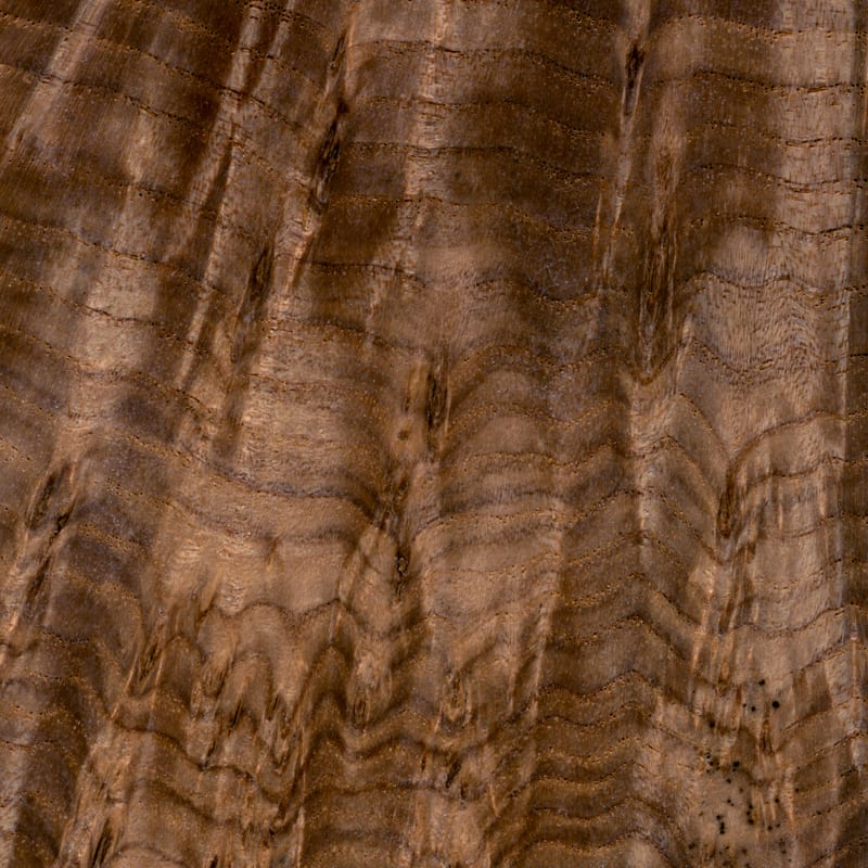 Thaddeus Holownia, Black Ash Burl, series: Wood Study, 2010