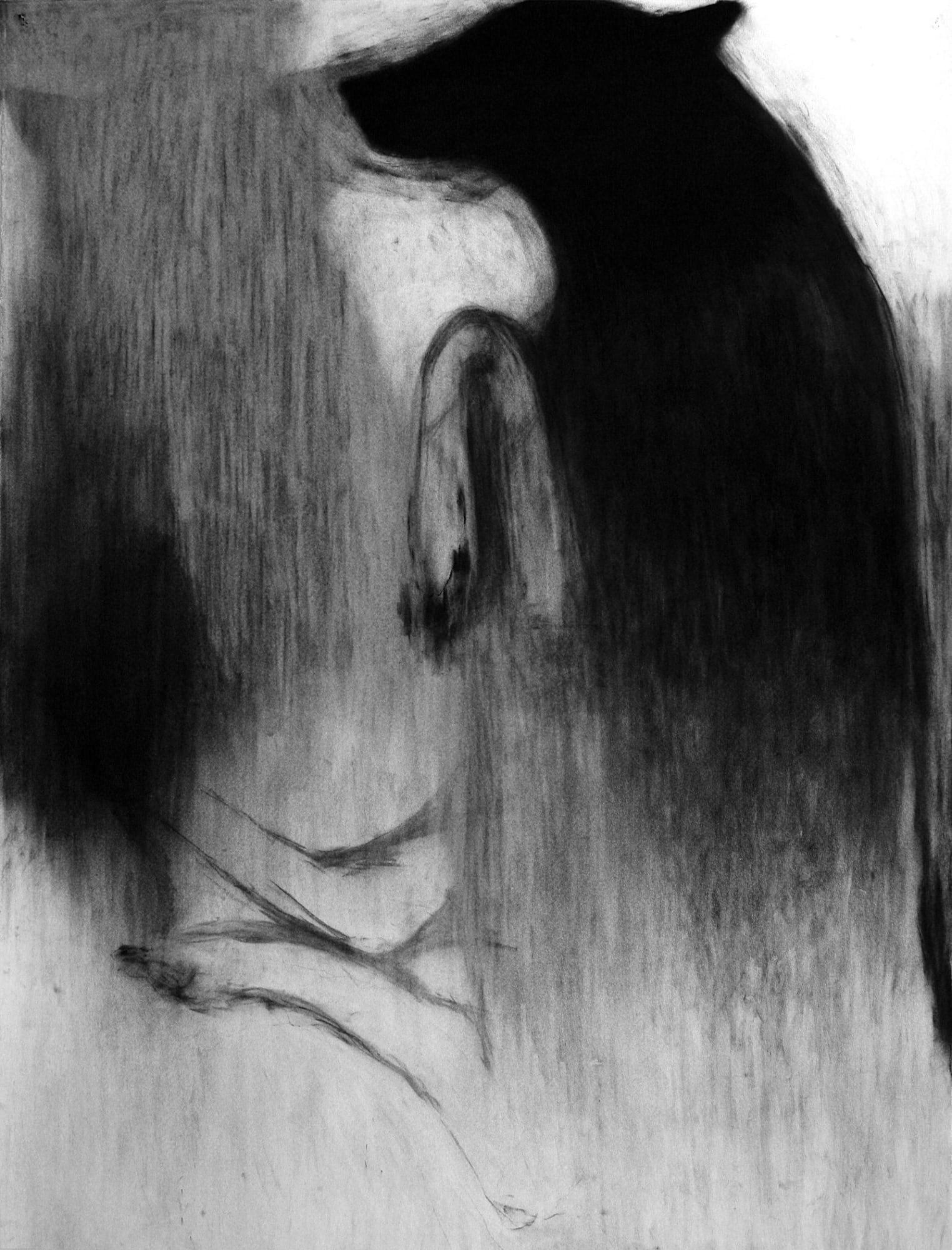 Sondra Meszaros, untitled, 2012