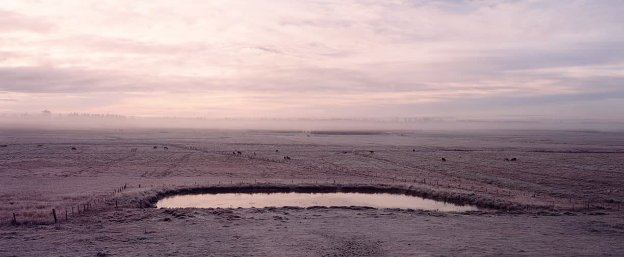 Thaddeus Holownia, Jolicure Pond, 03, 1996-2004