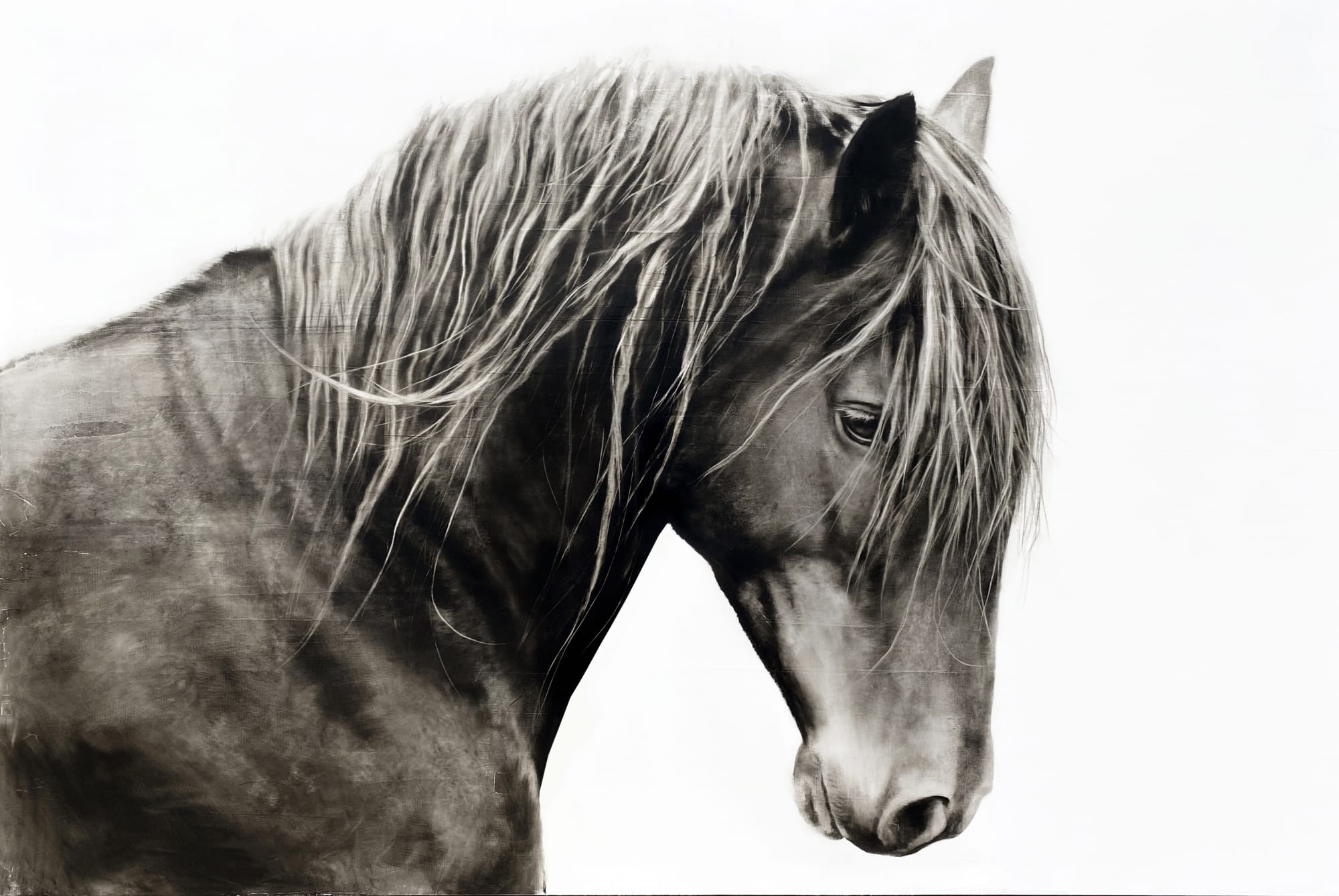 Kenneth Peloke, Wonder