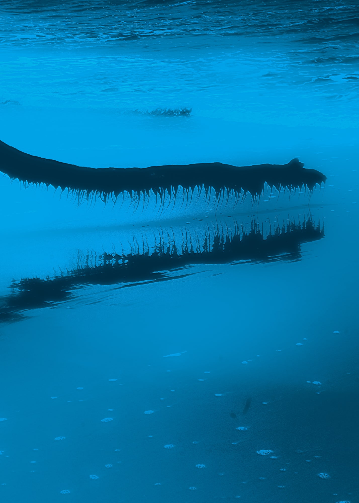 Nyaba Léon Ouedraogo, La langue de barbarie , 2022