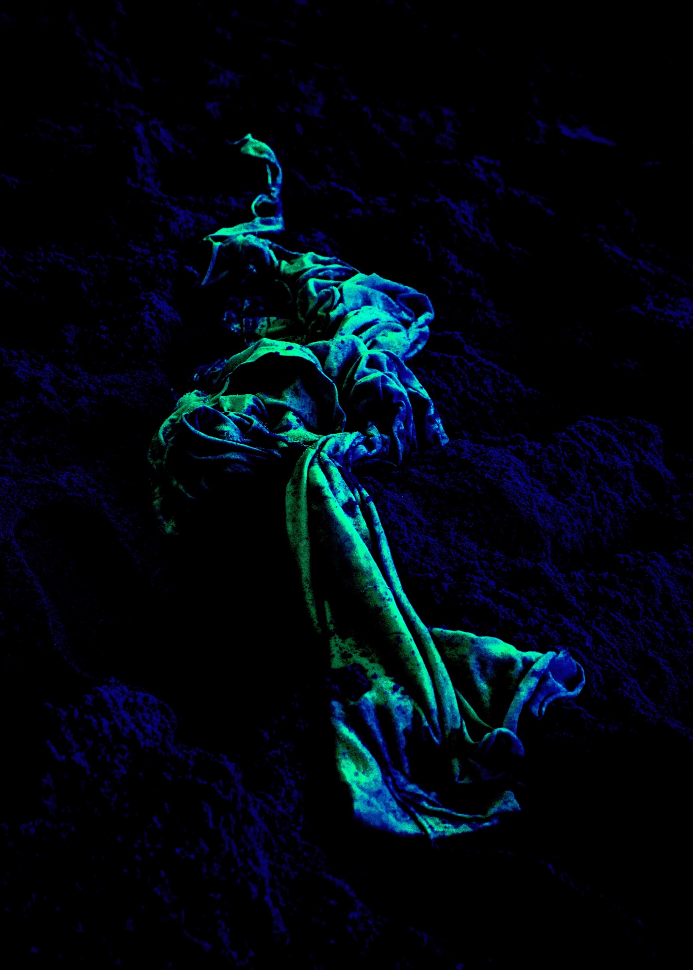 Nyaba Léon Ouedraogo, Mame Coumba Bang, 2022