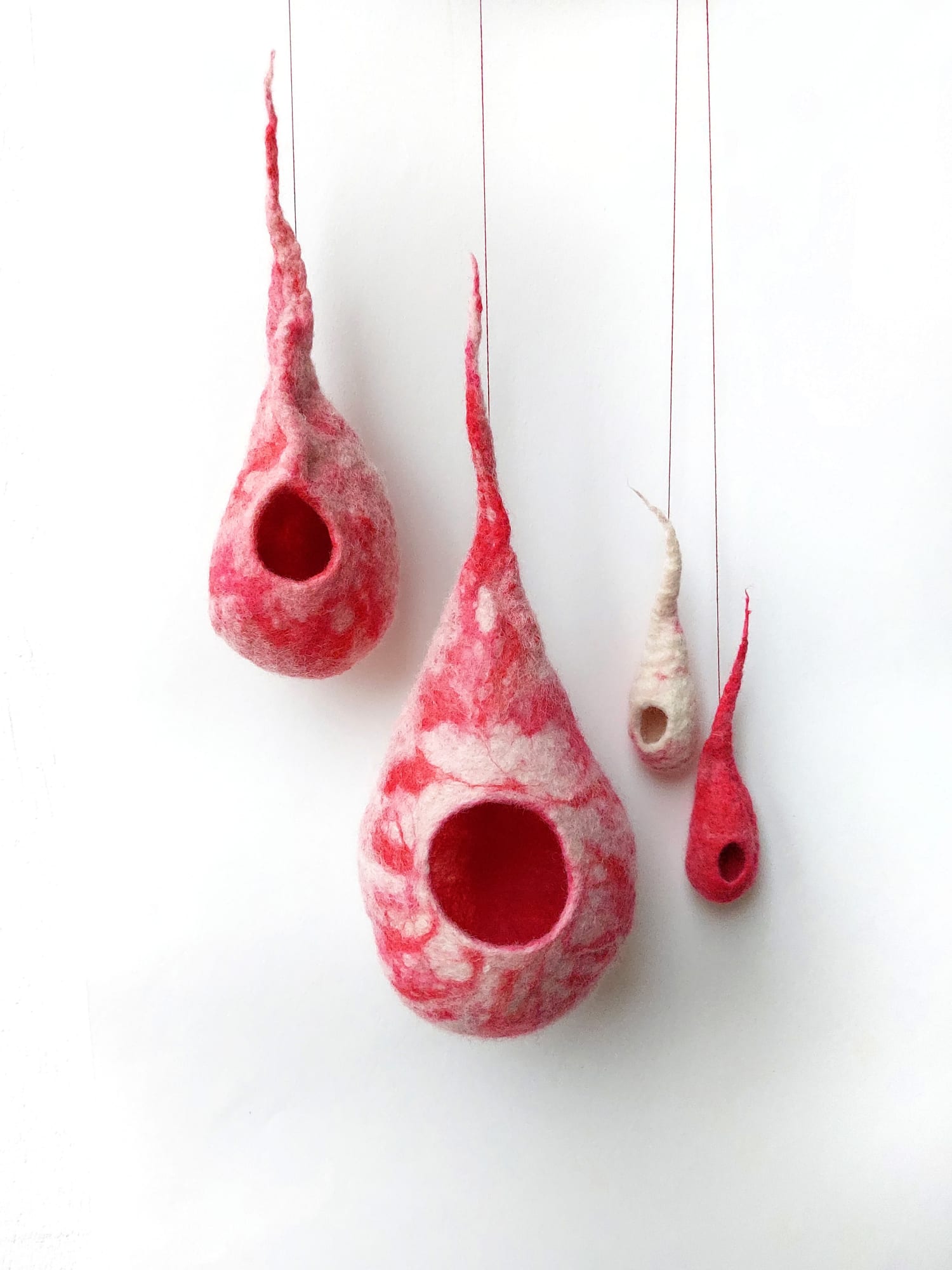 Hannah Macfarlane, Careful Home, 2021