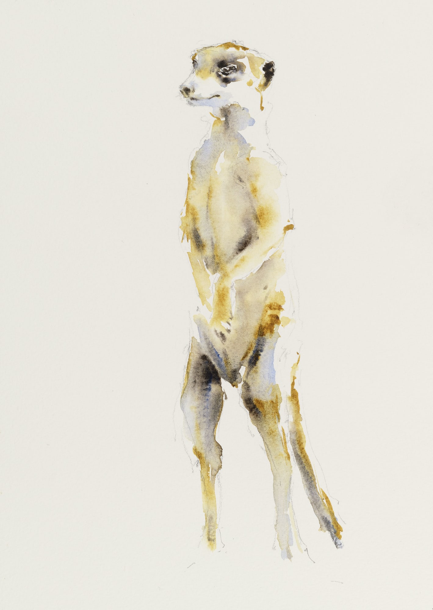 Julia Cassels, Sentry